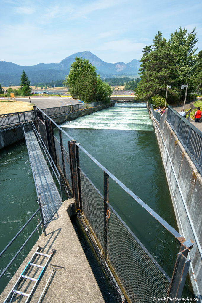 Bonneville Lock and Dam is a great engineering feat. Built by the Army Core of Engineers, it regulate the Columbia River's flow, but also allows passage for boats. Unfortunately, it's lead to the death and possibly start of extinction of Salmon in the Pacific Northwest.