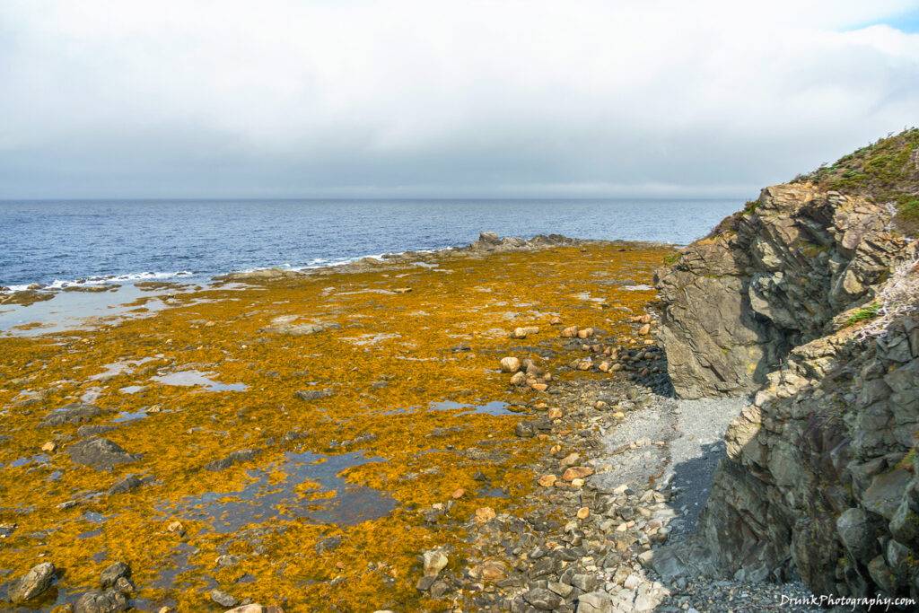 Rocky Harbour  Lobster Cover Head Lighthouse Drunkphotography.com