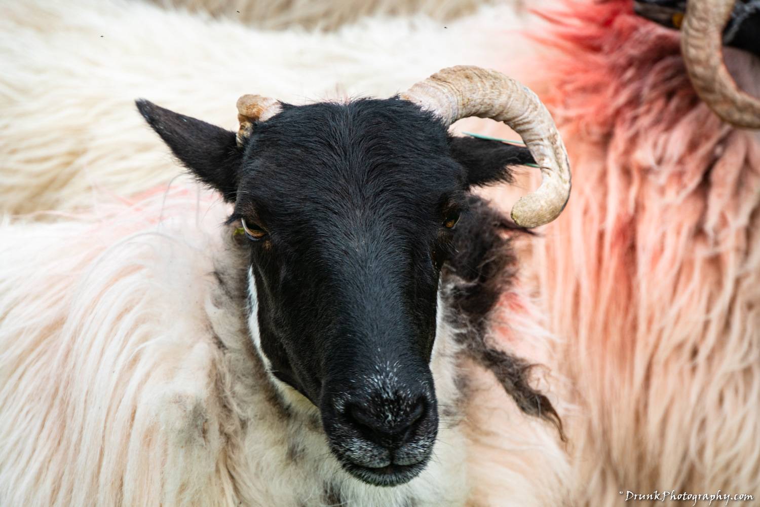 The Glen Keen Estate & Glen Keen Farm 1