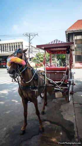 Horse and carriage ride Philippines