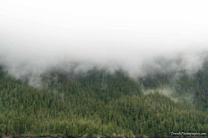 foggy fjords