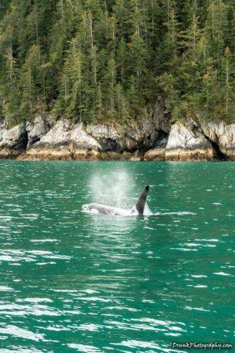 Kenai Fjords National Park