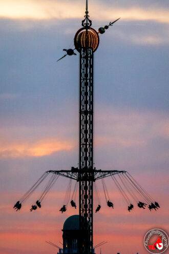 Cock Carousel